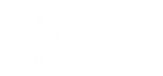 logo_dsv